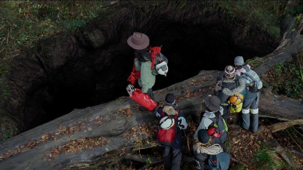 The Descent still 7