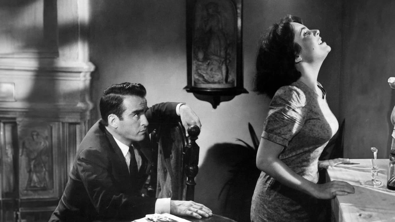 Suddenly, Last Summer still 3