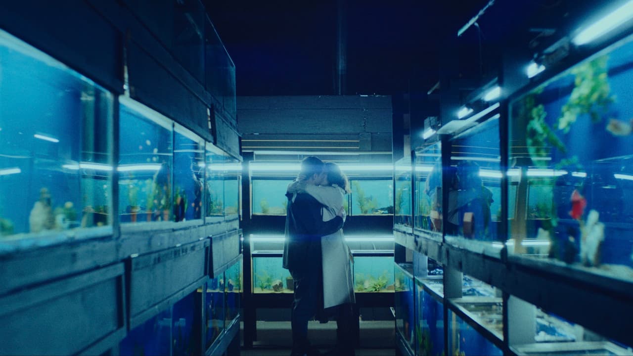 Little Fish still 1