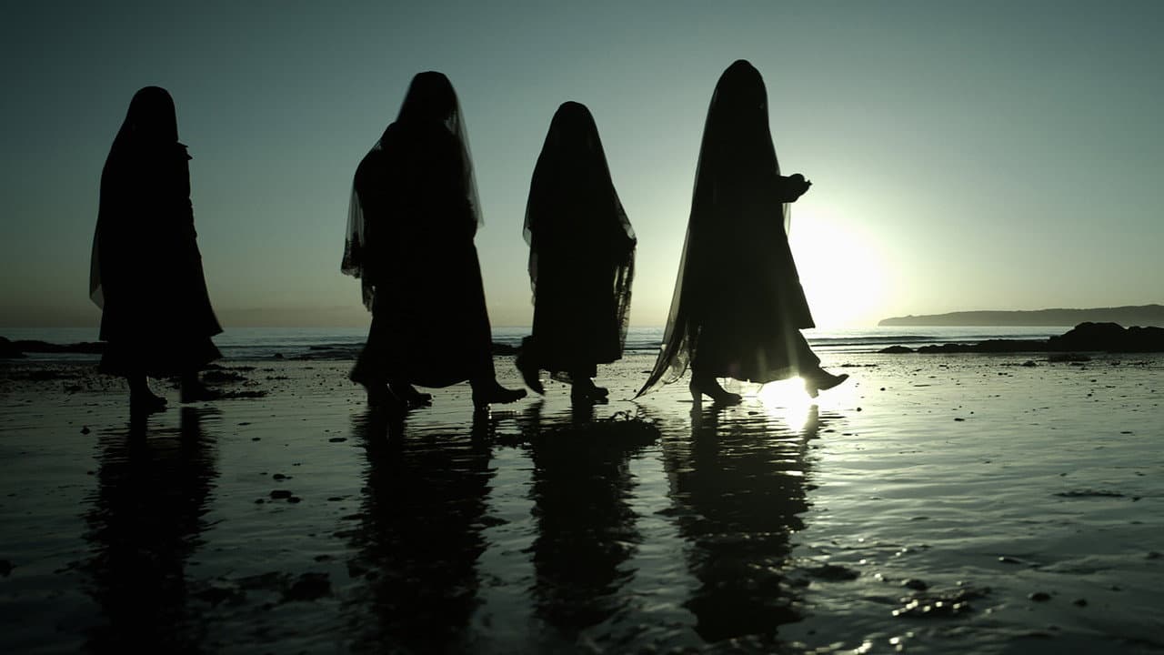 Muse still 3