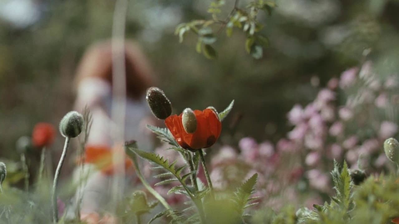 Bright Star still 7