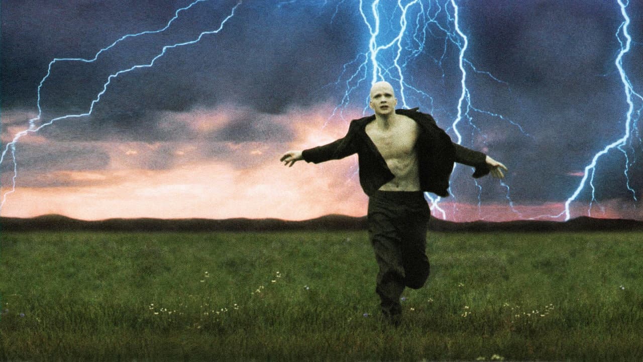 Powder still 8