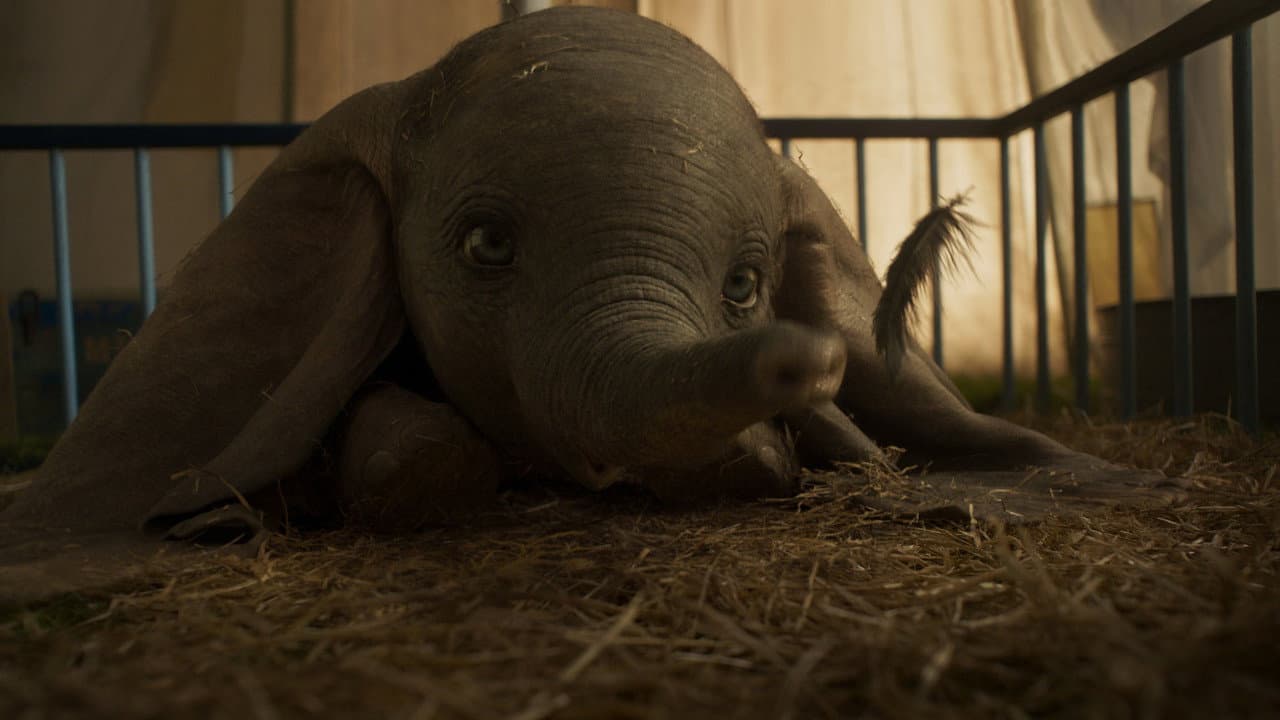 Dumbo still 7