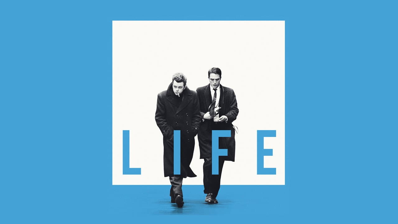 Life still 4