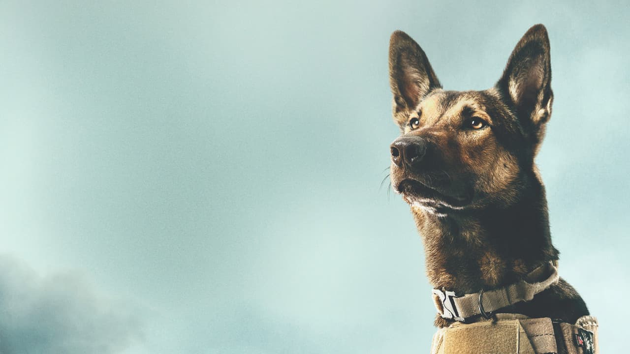 Max still 8