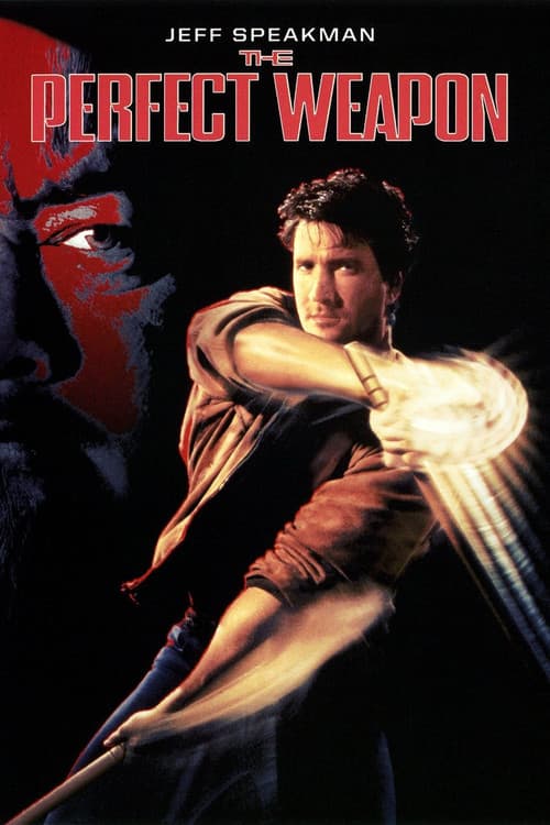 The Perfect Weapon still 6