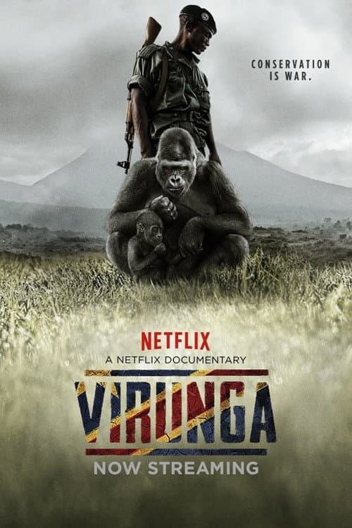 Virunga still 8